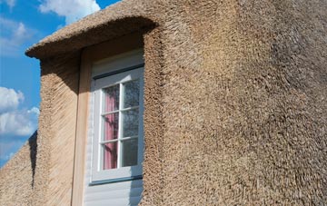 Toprow thatch roof disadvantages